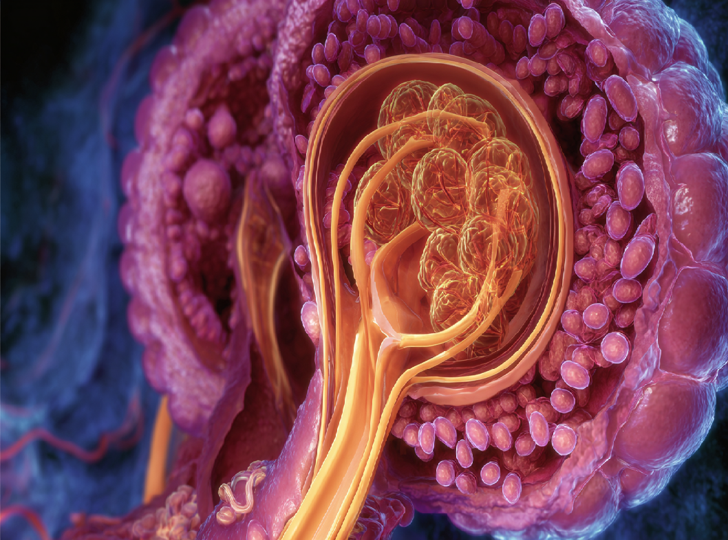 Плоская кондилома шейки матки