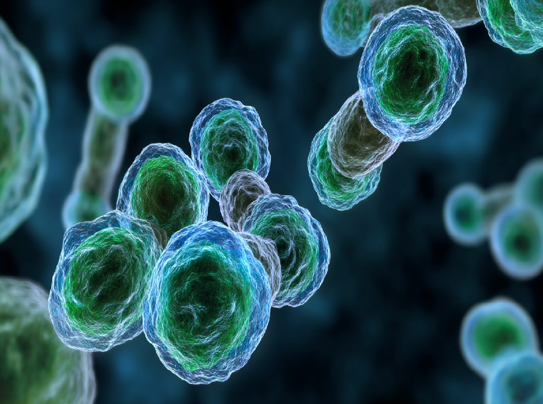 Туберкулезный сальпингит: причины возникновения