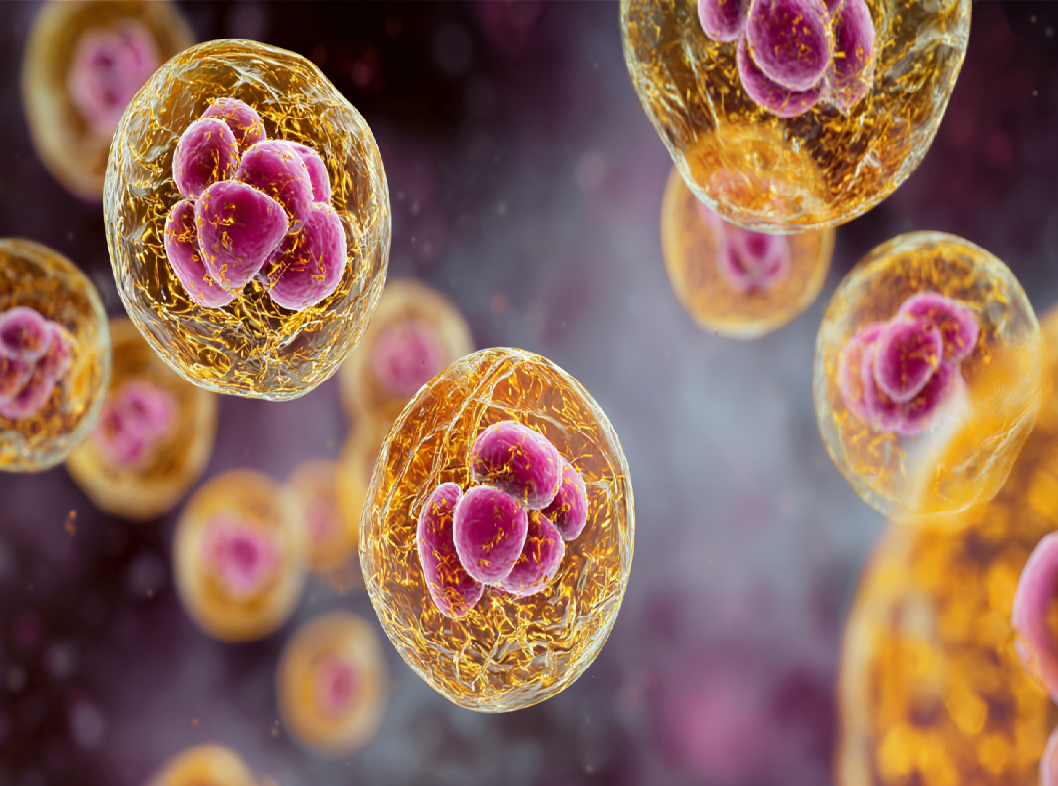 Уреаплазмоз и хламидиоз