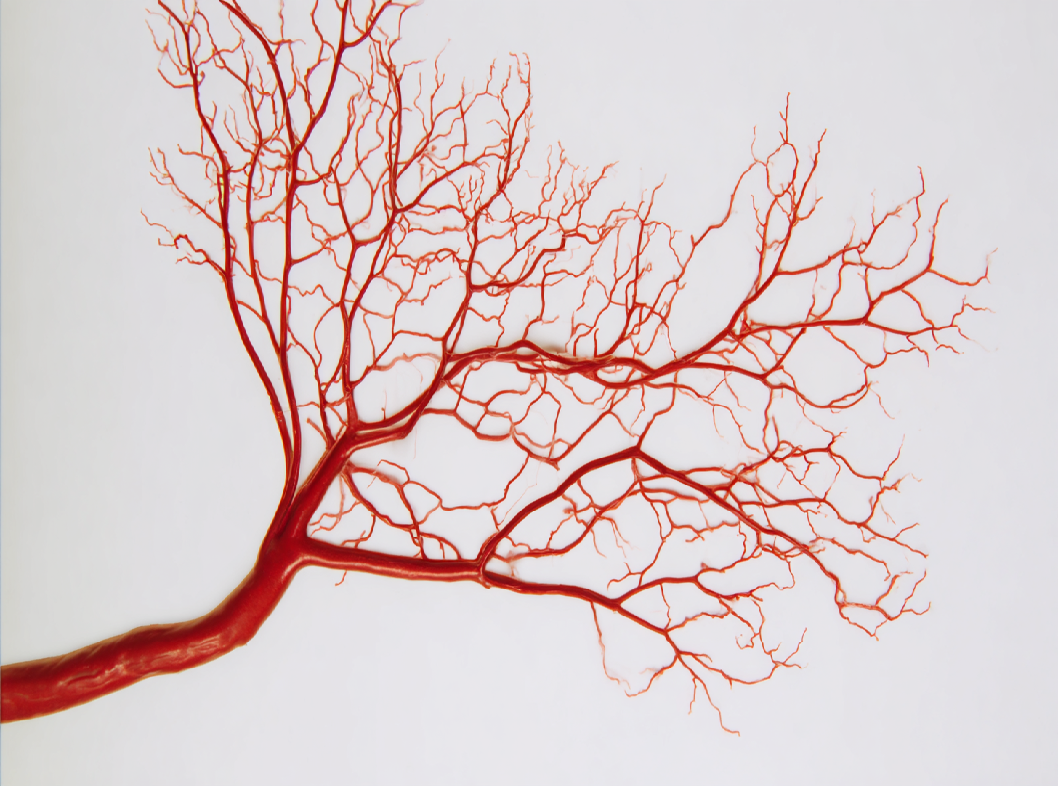 Вегетососудистая дистония