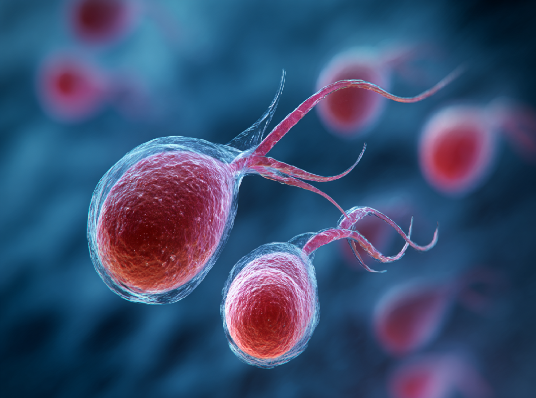 Трихомониаз