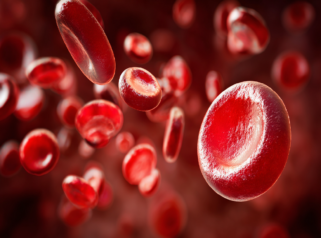 Общий анализ крови