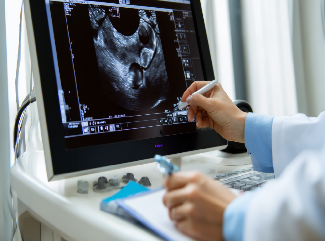УЗИ органов малого таза