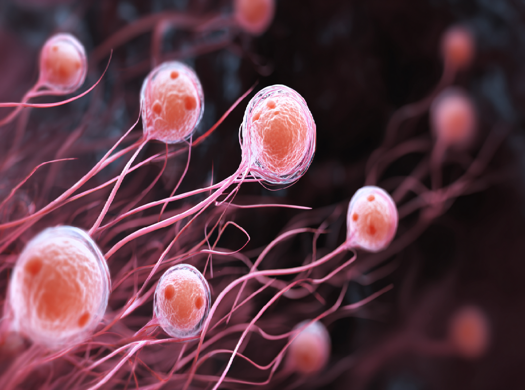 Язвенный вульвит