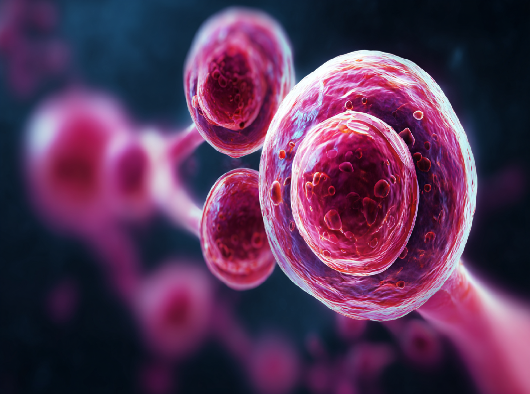 Язвенный вульвит