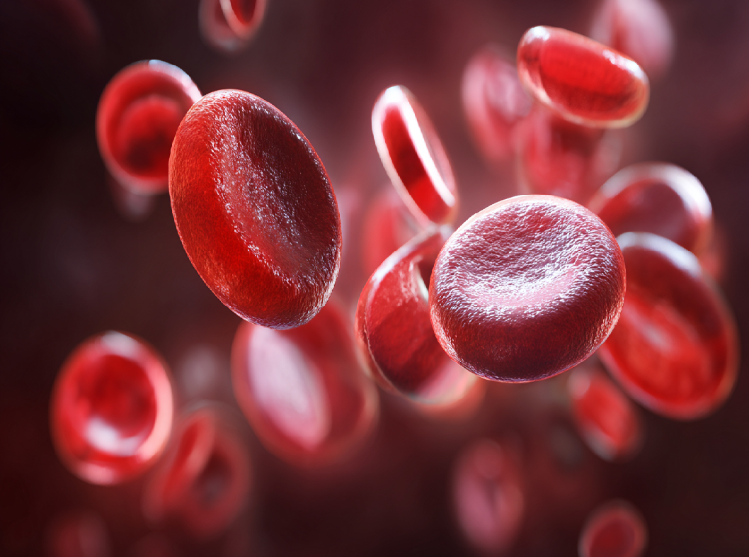 Норма гемоглобина в крови