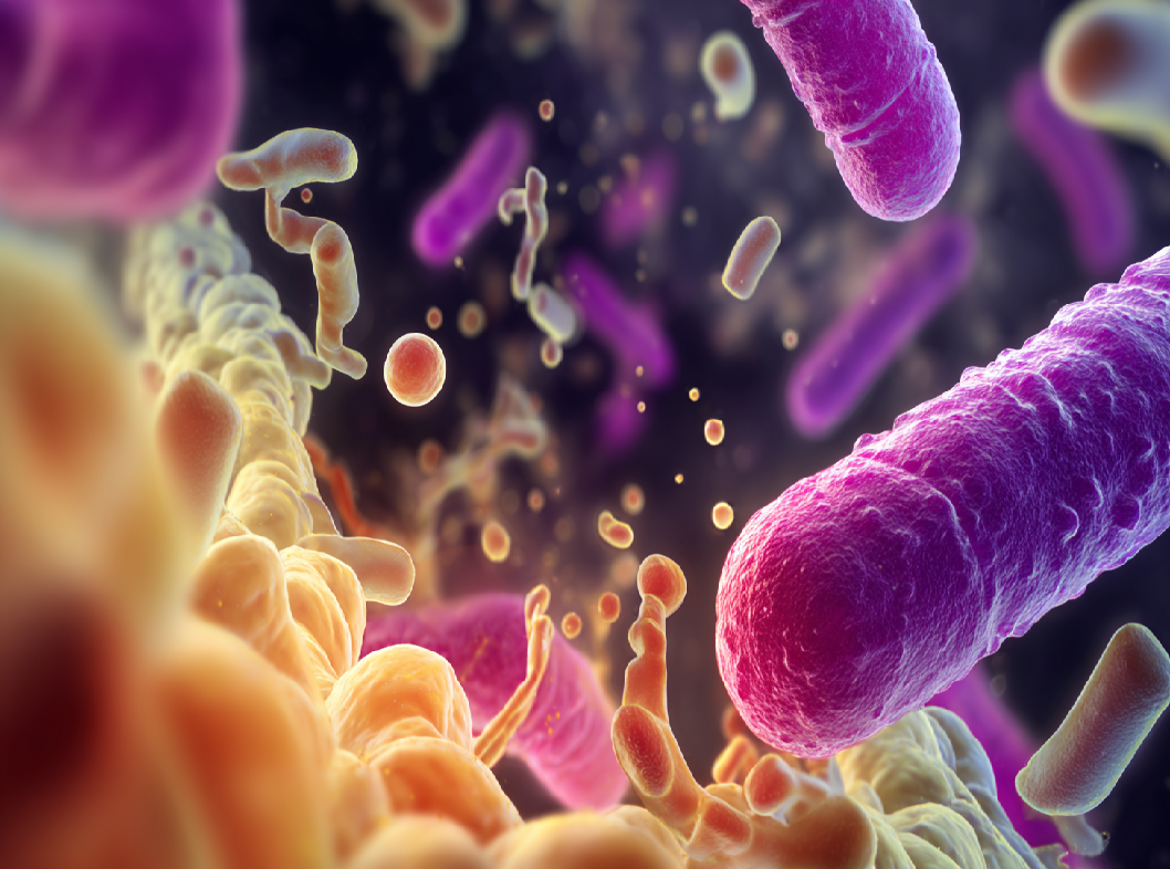 Дисбактериоз кишечника