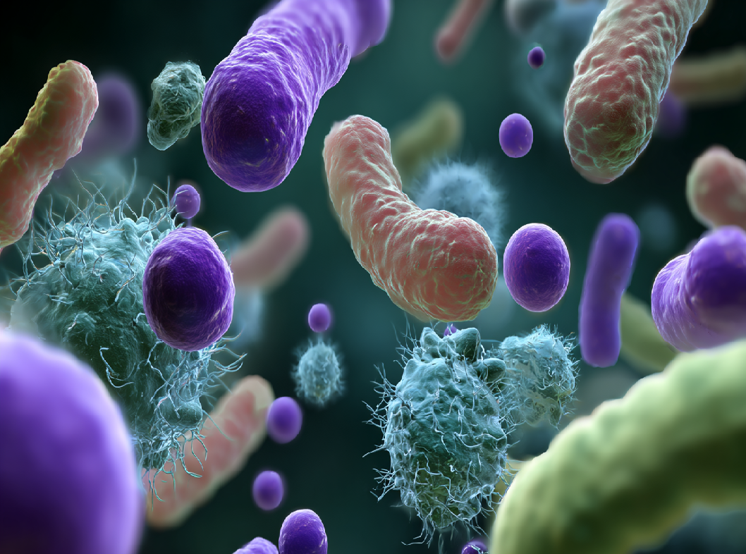 Дисбактериоз кишечника