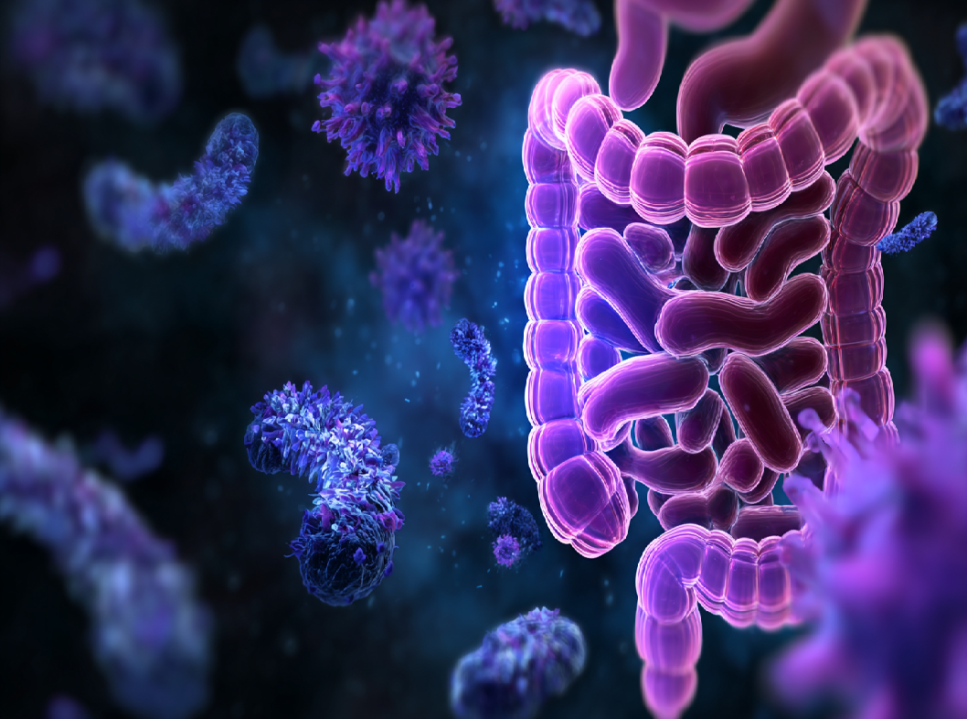 Аутоиммунные заболевания кишечника