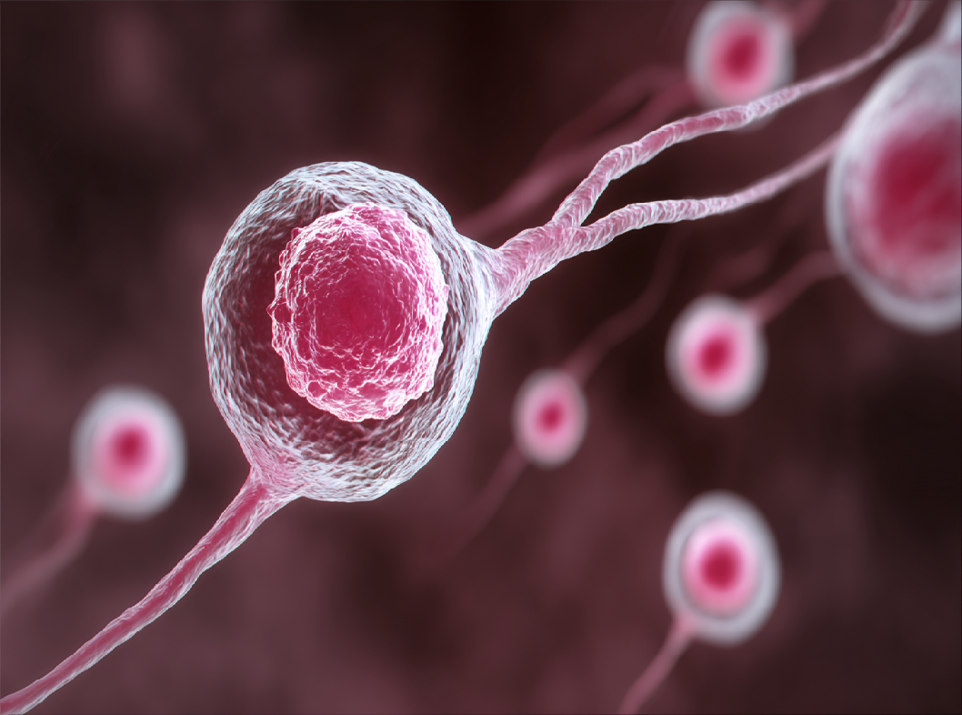 Генитальный герпес у мужчин