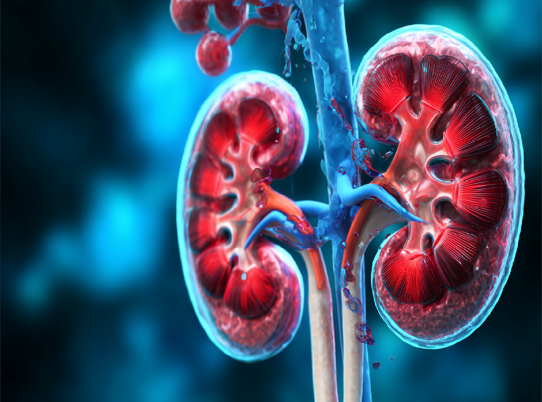 Острое почечное повреждение