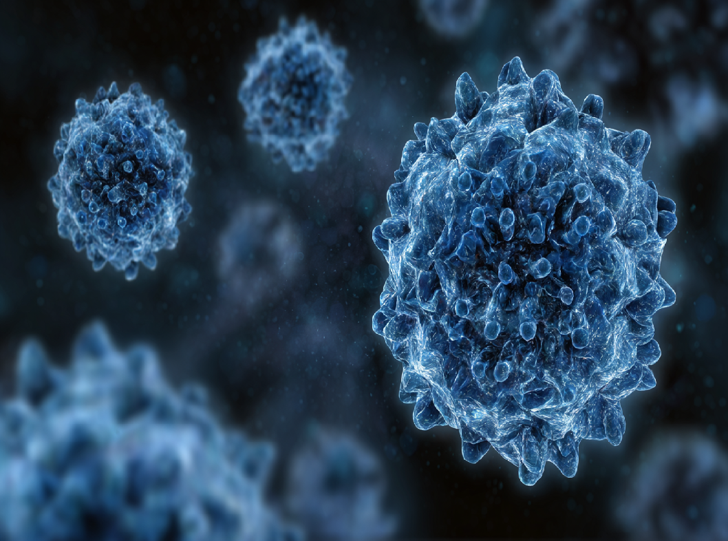 Цитомегаловирус (ЦМВ)