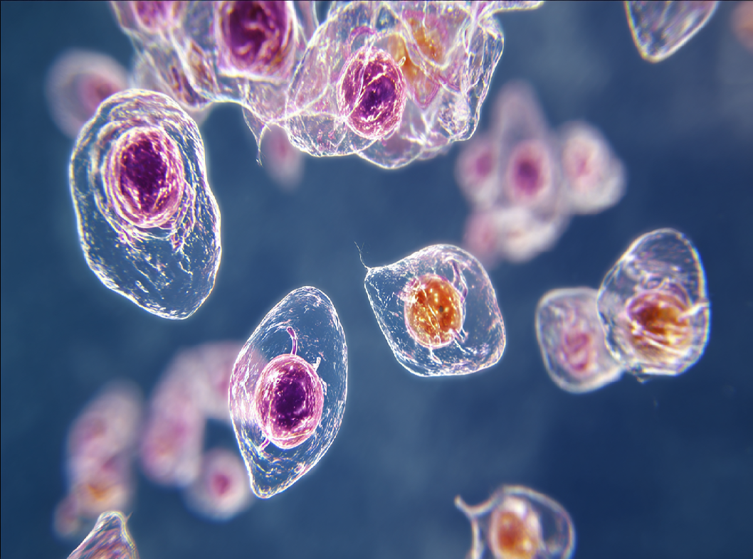 Токсоплазмоз