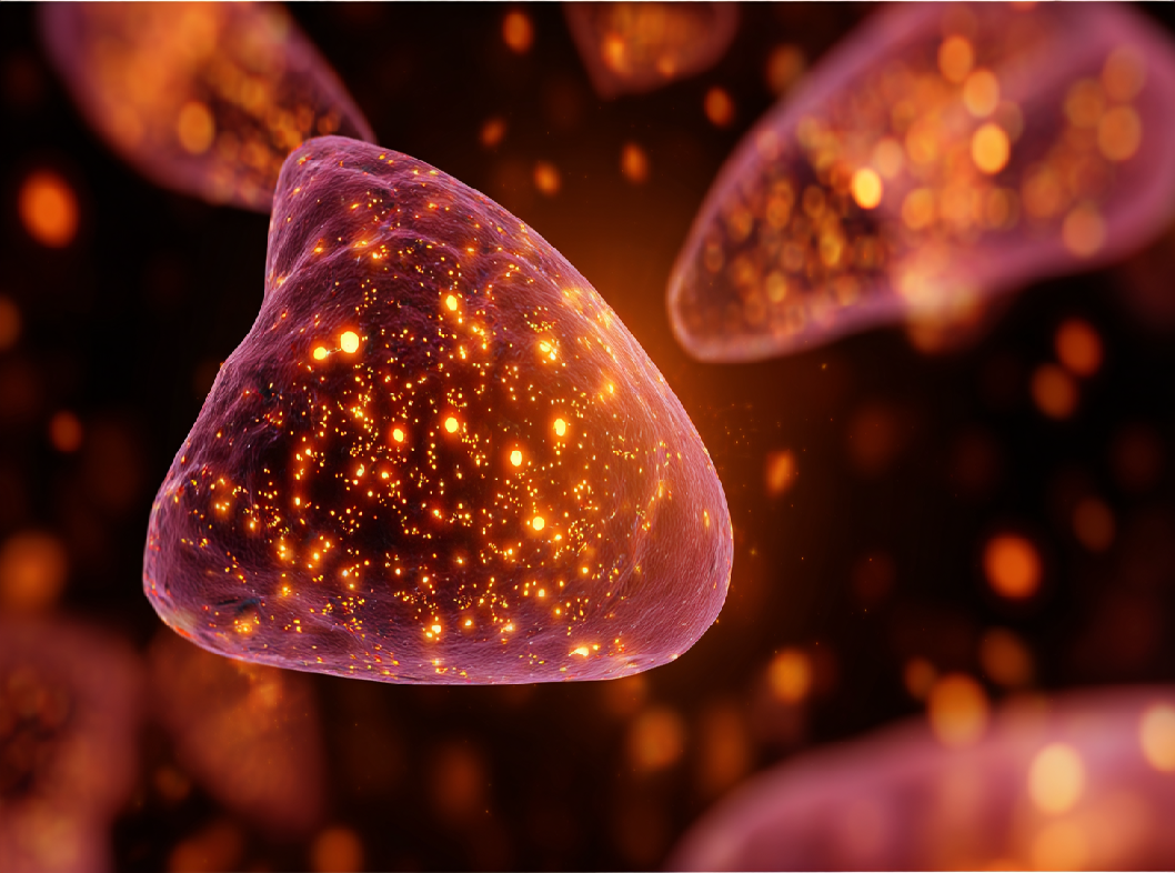 Жировой гепатоз