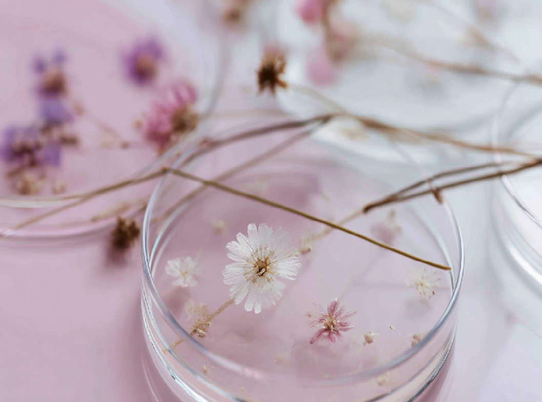 Гинекологический мазок на флору