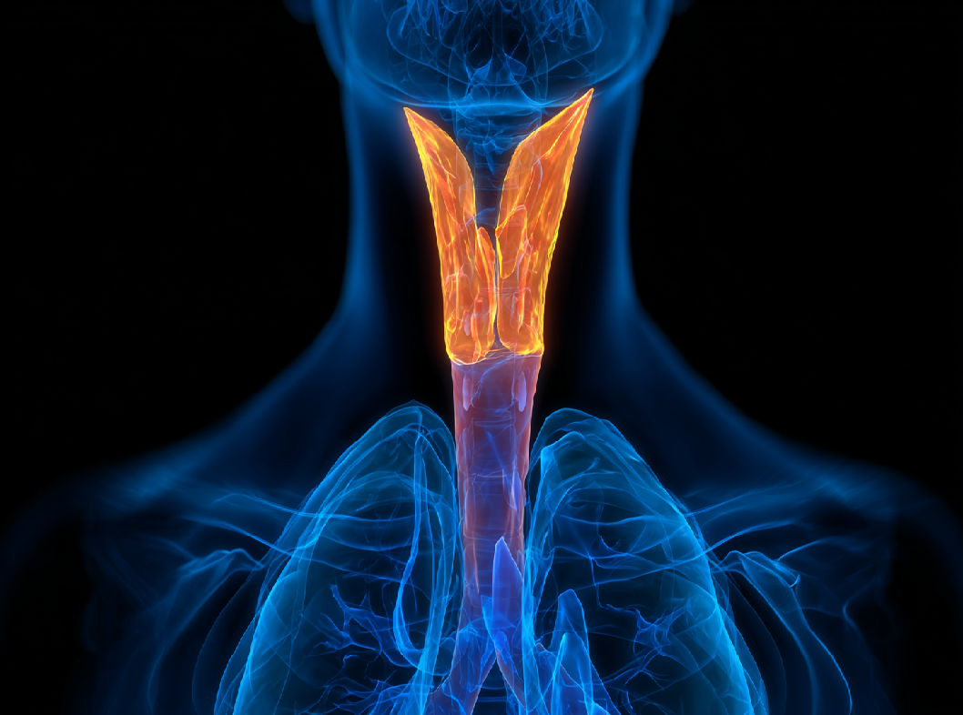 При каких болезнях есть тиреотоксикоз?