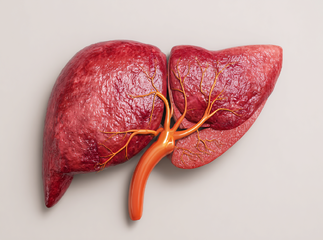 Цирроз печени