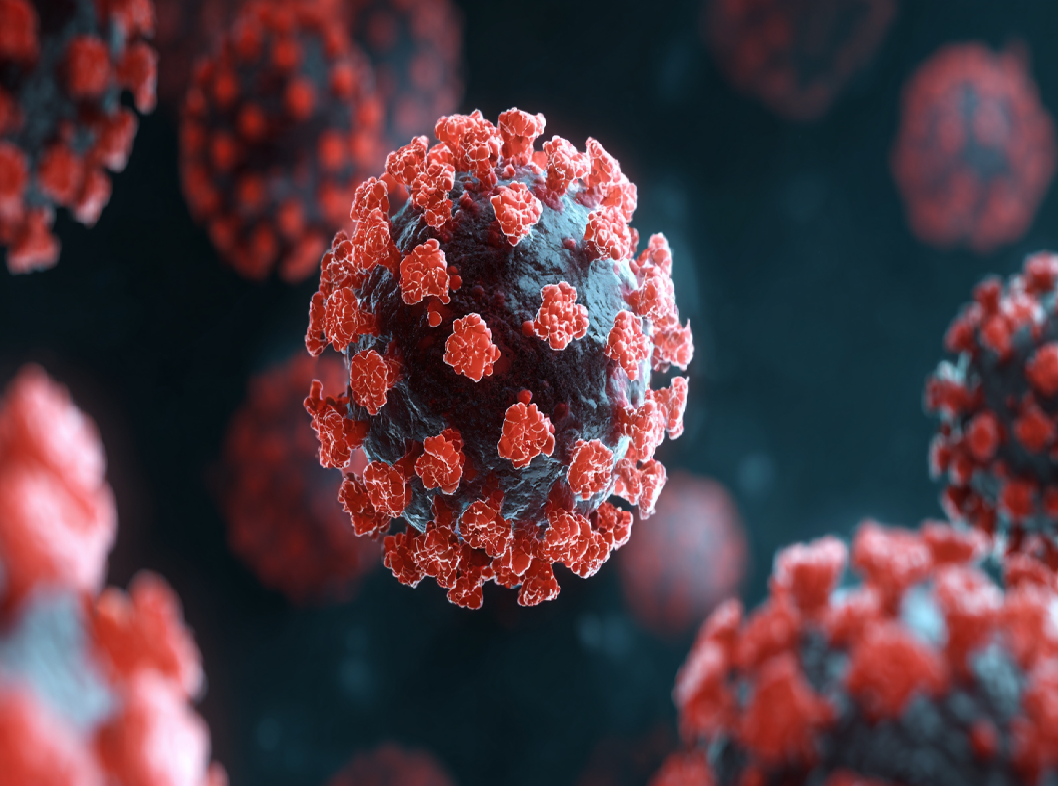 Вирус простого герпеса (ВПГ)