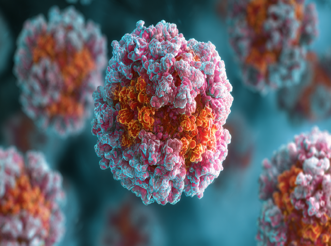 Вирус простого герпеса (ВПГ)