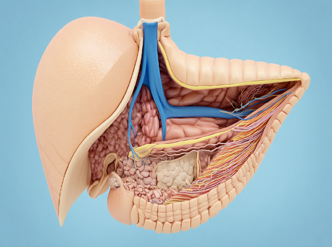 Диафрагмальная грыжа