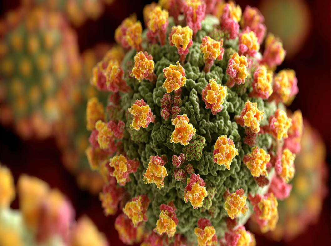 Вирус Эпштейна-Барр (ВЭБ)