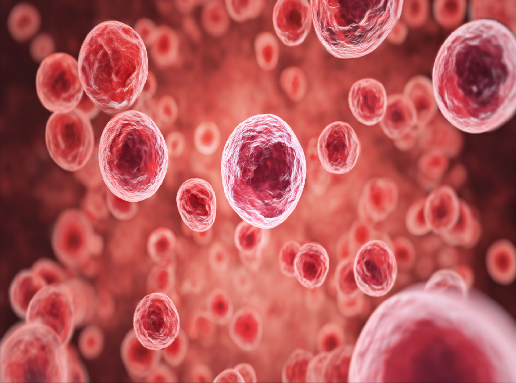 Краснуха болезнь