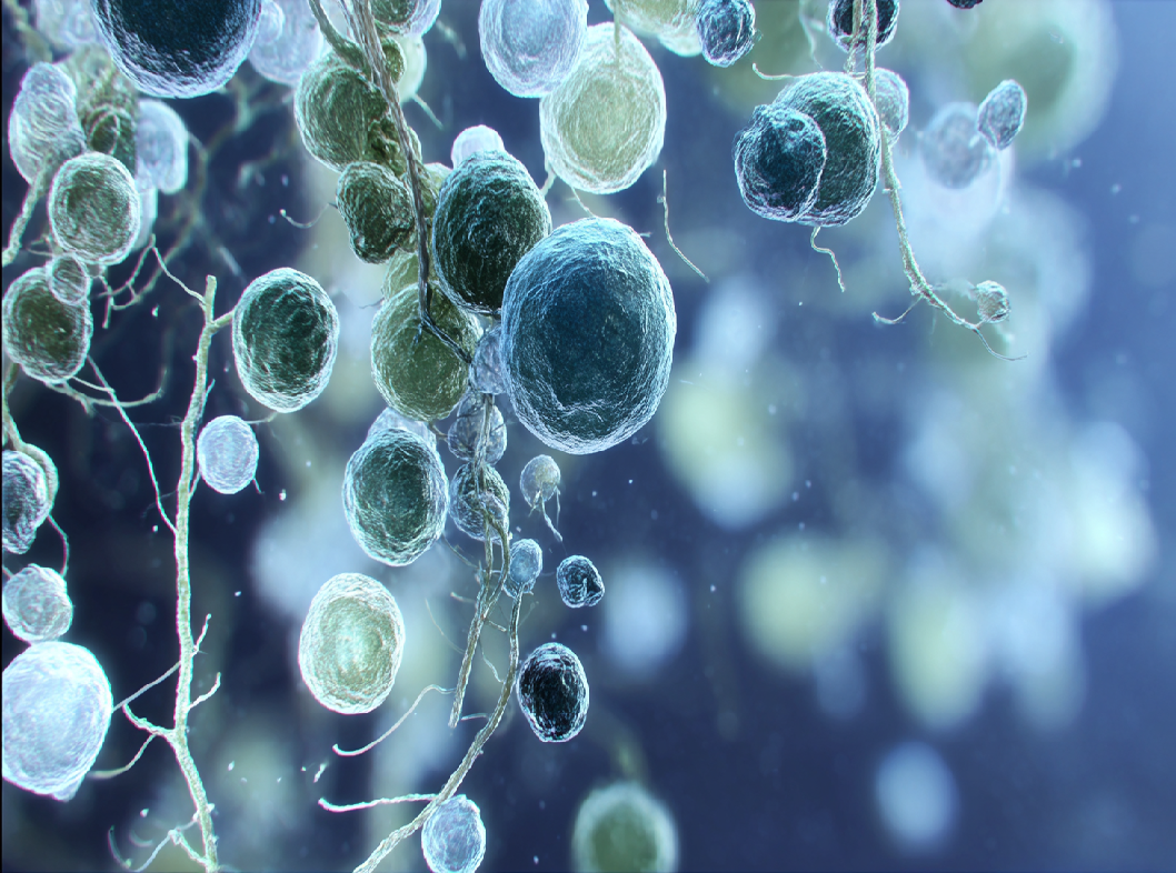 Причины роста условно-патогенной микрофлоры