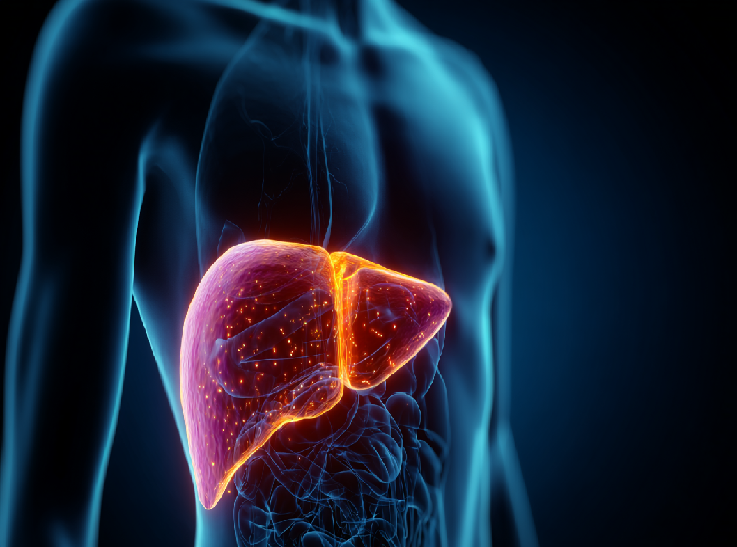 Алкогольная болезнь печени