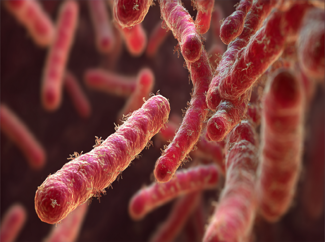 Кандидоз кишечника