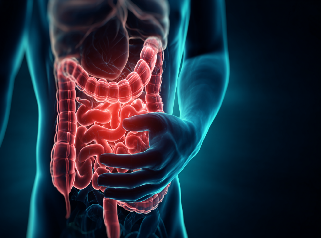 Влияние стресса на ЖКТ Arimed