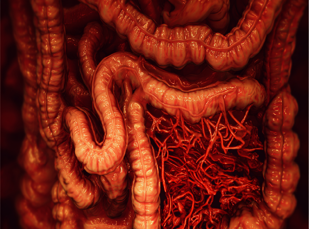 Зеленый кал