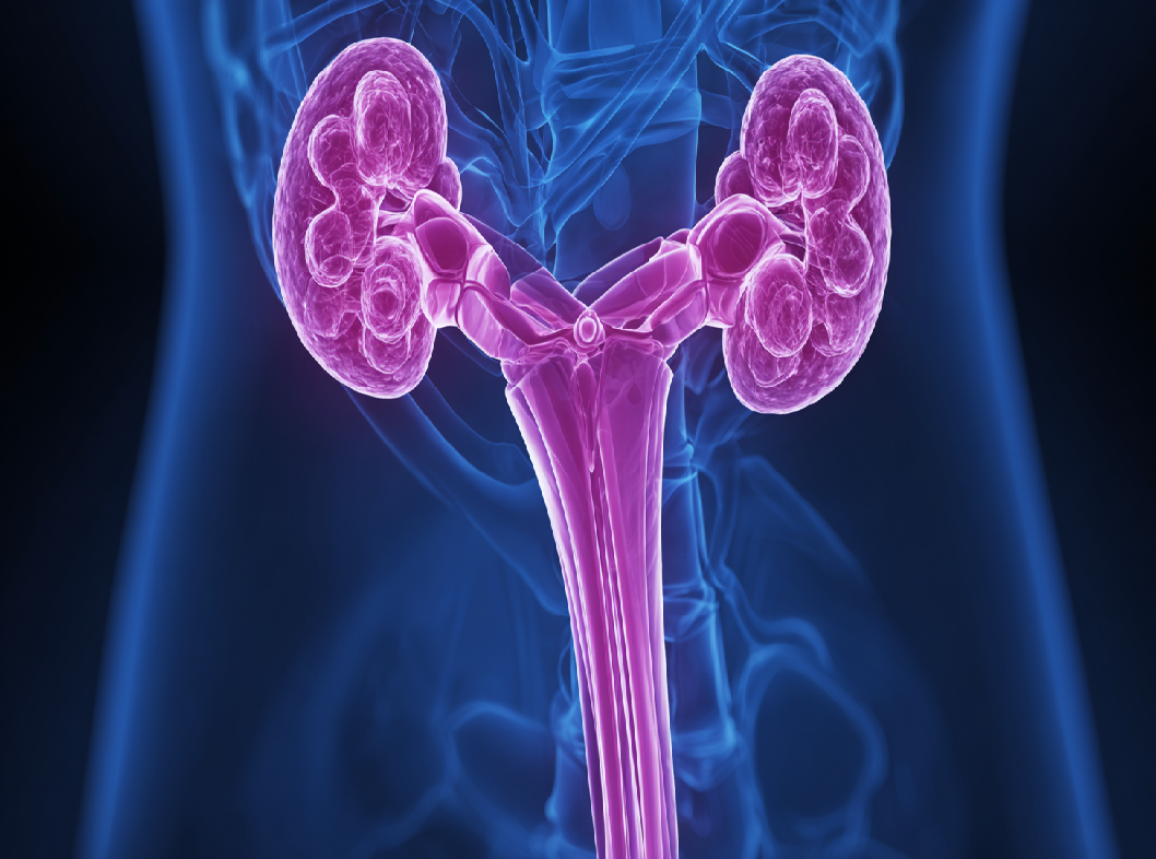 Эктопия шейки матки