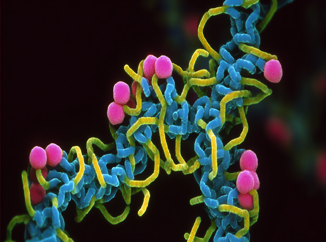 Что такое АСТ?