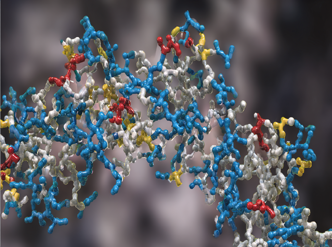 Что такое АСТ?