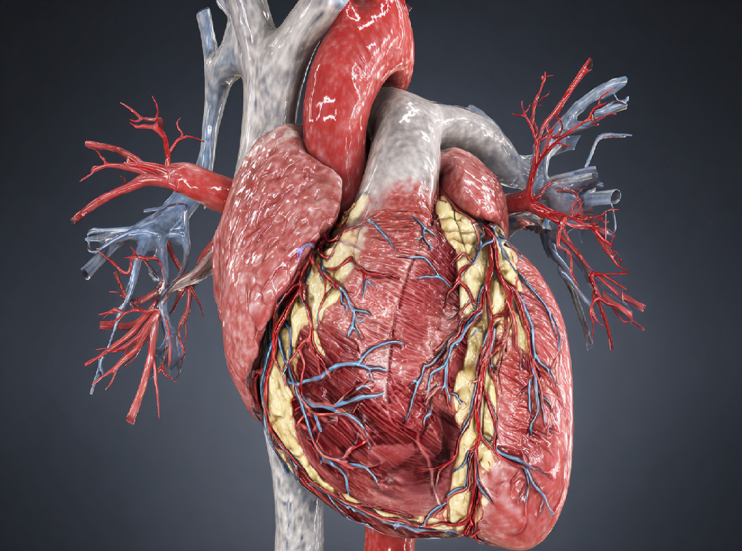 Тетрада Фалло