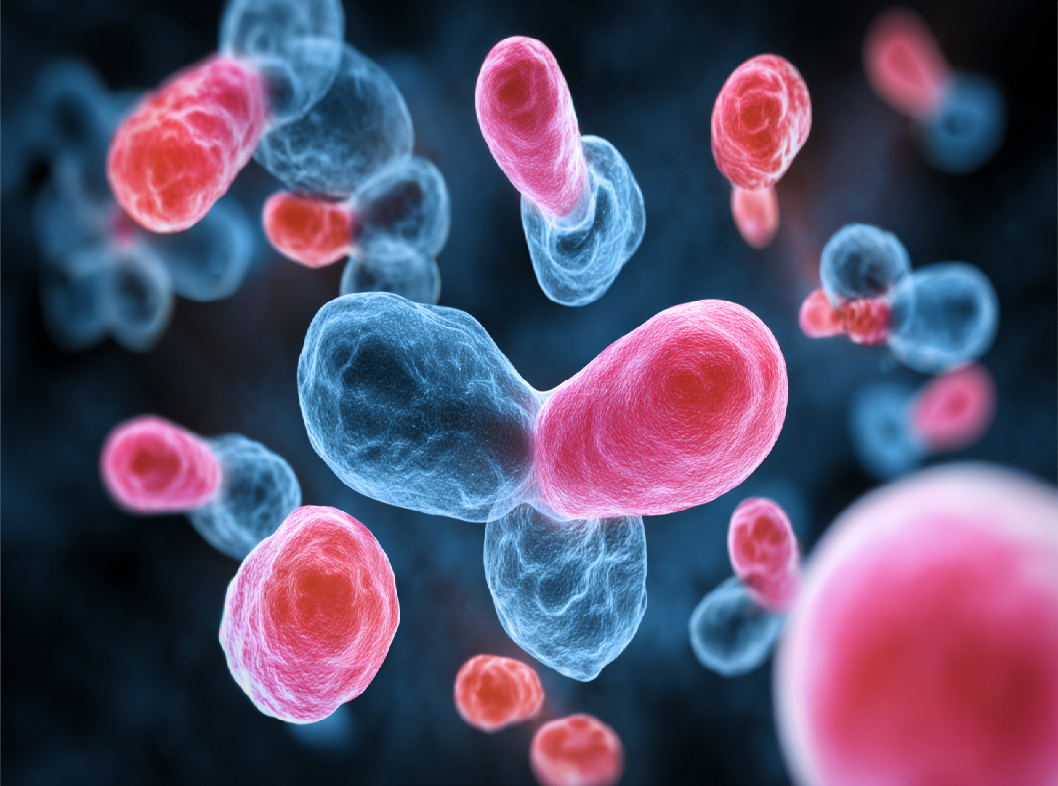 Болезнь Пейрони