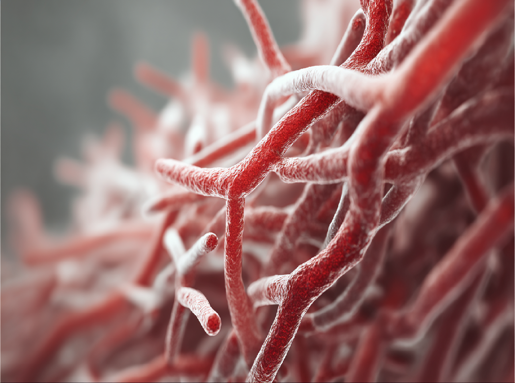 Что такое фибриноген?