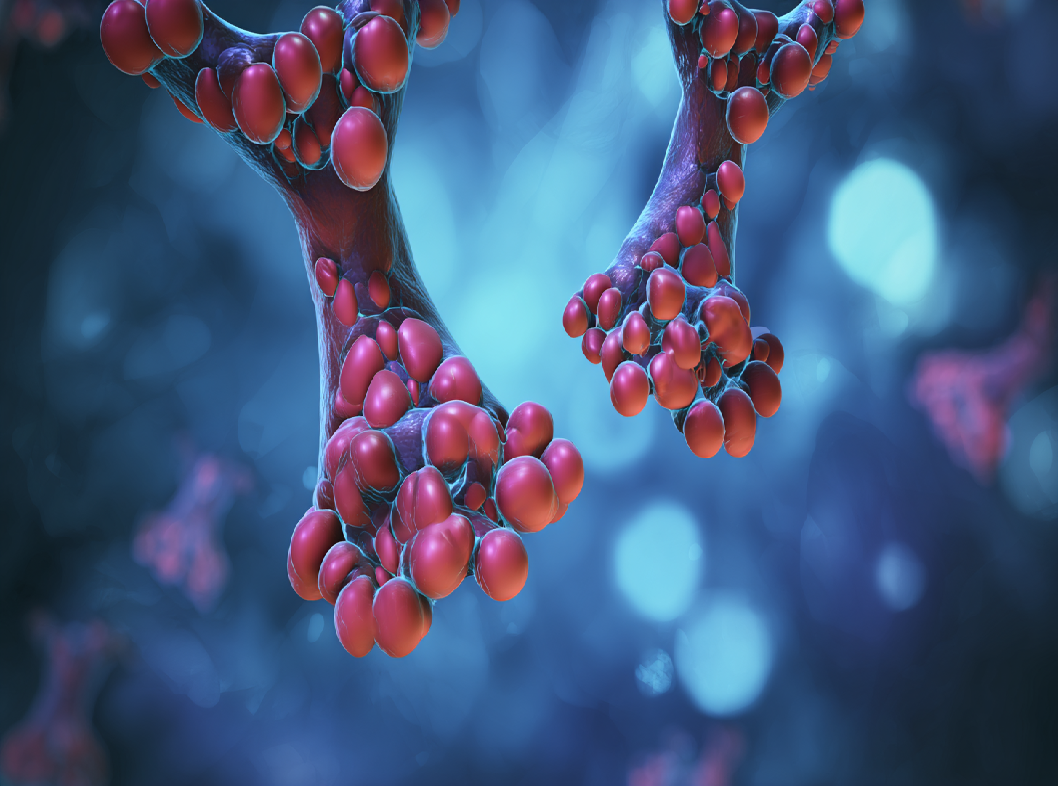 Паратгормон