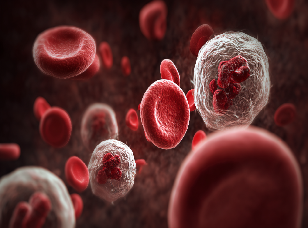 Фактор коагуляции II (F2)