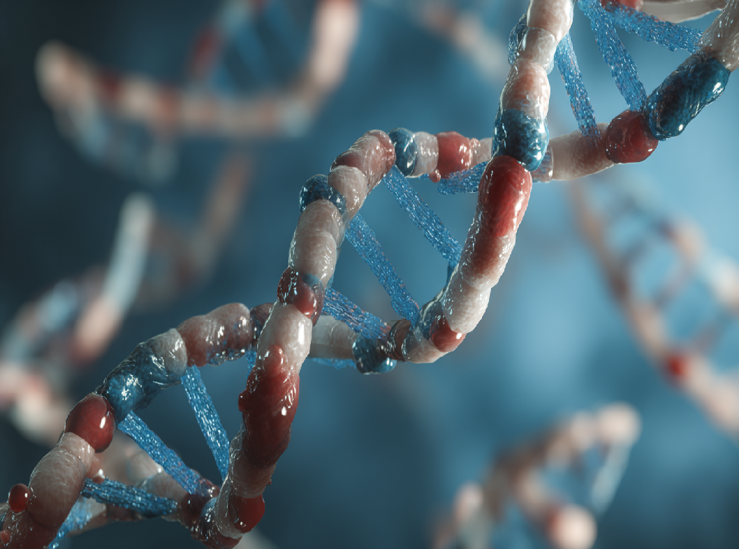 Генетическая предрасположенность развития сахарного диабета 2 типа