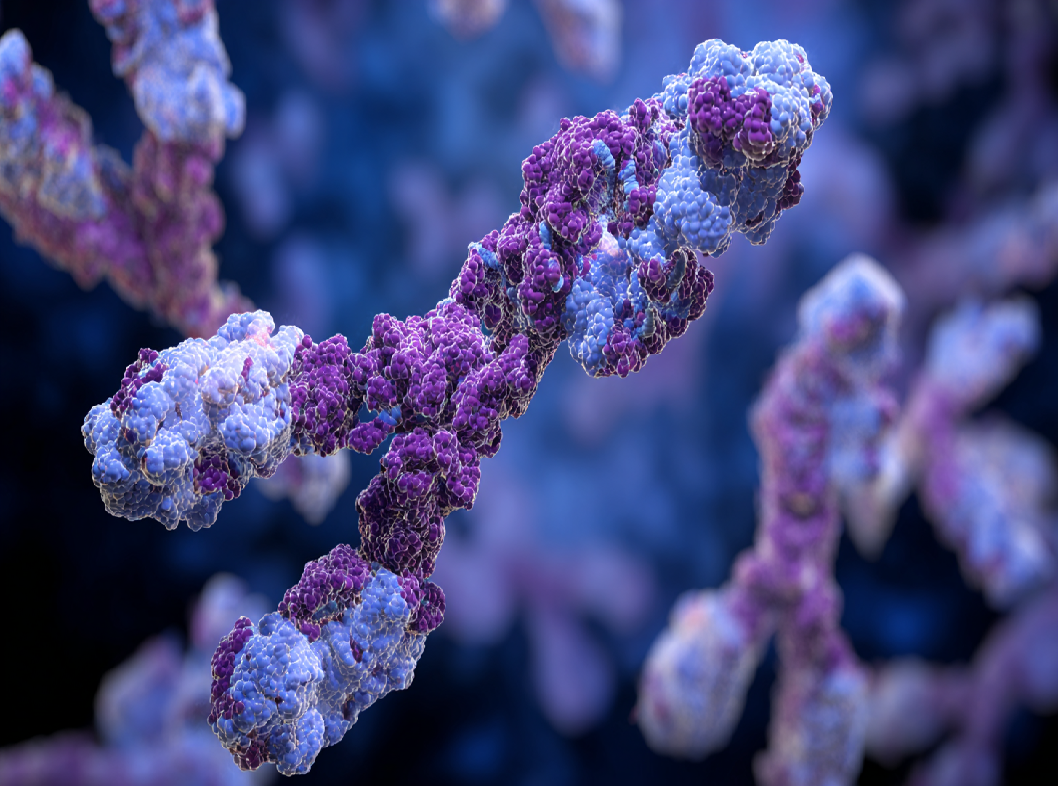 Генетическая предрасположенность развития сахарного диабета 1 типа