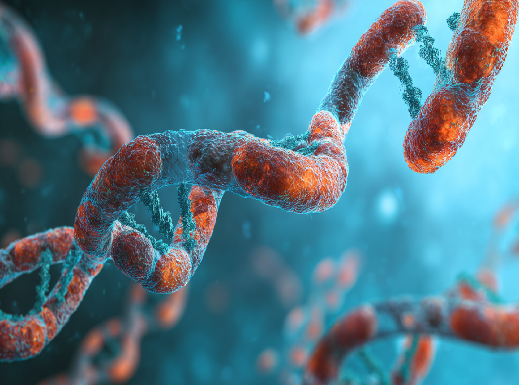 Генетическая предрасположенность развития сахарного диабета 1 типа