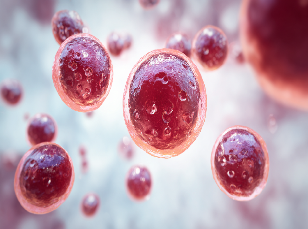 Что такое глобулин, связывающий половые гормоны (ГСПГ)?