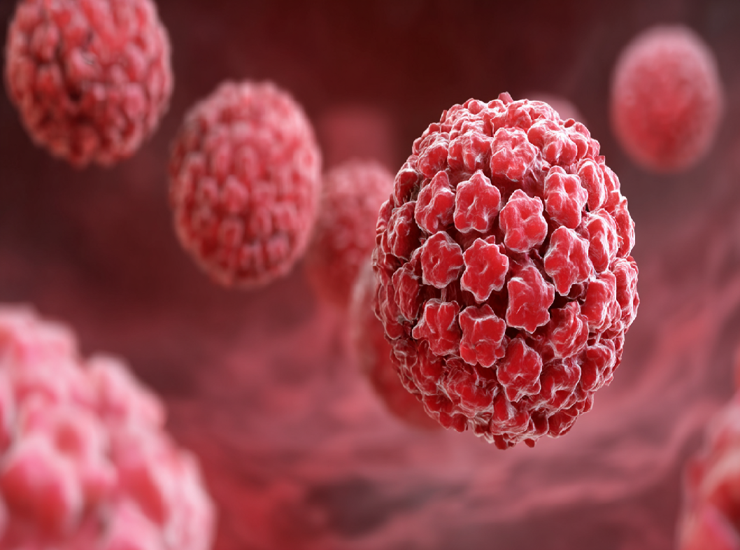 ВПЧ у женщин