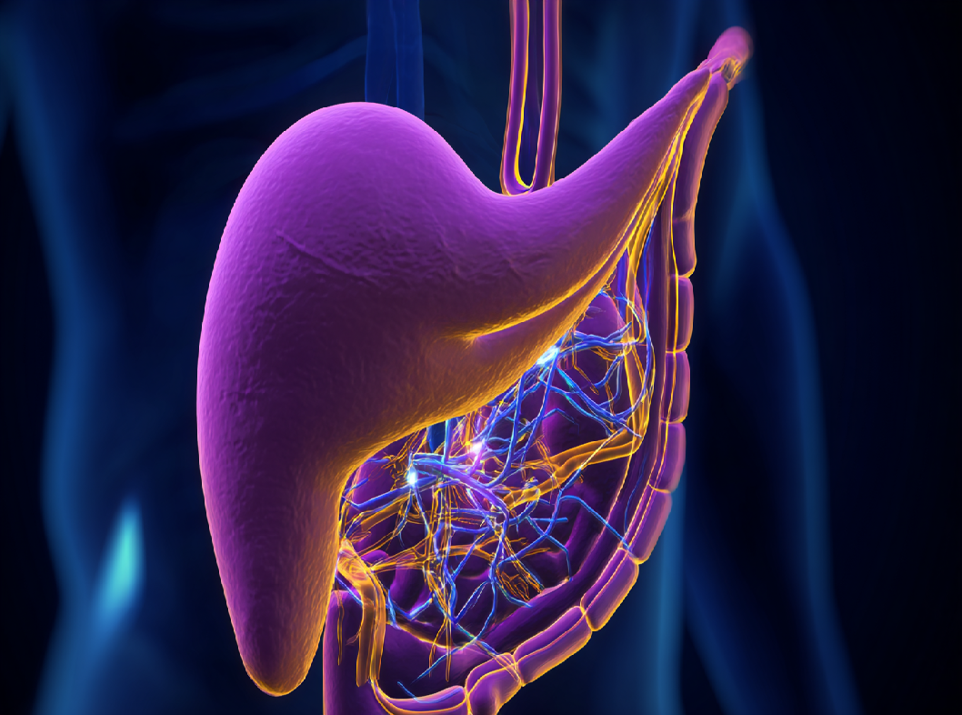 Обратный заброс желчи в желудок