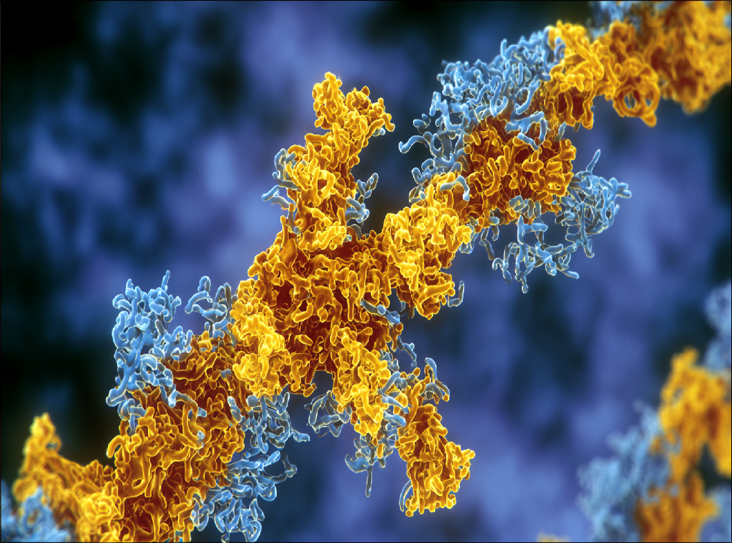 Эозинофильный катионный белок