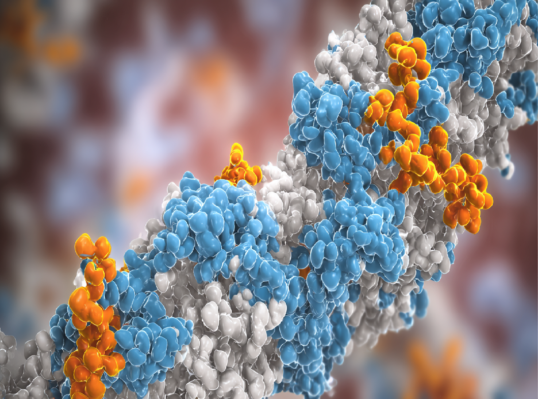 Эозинофильный катионный белок