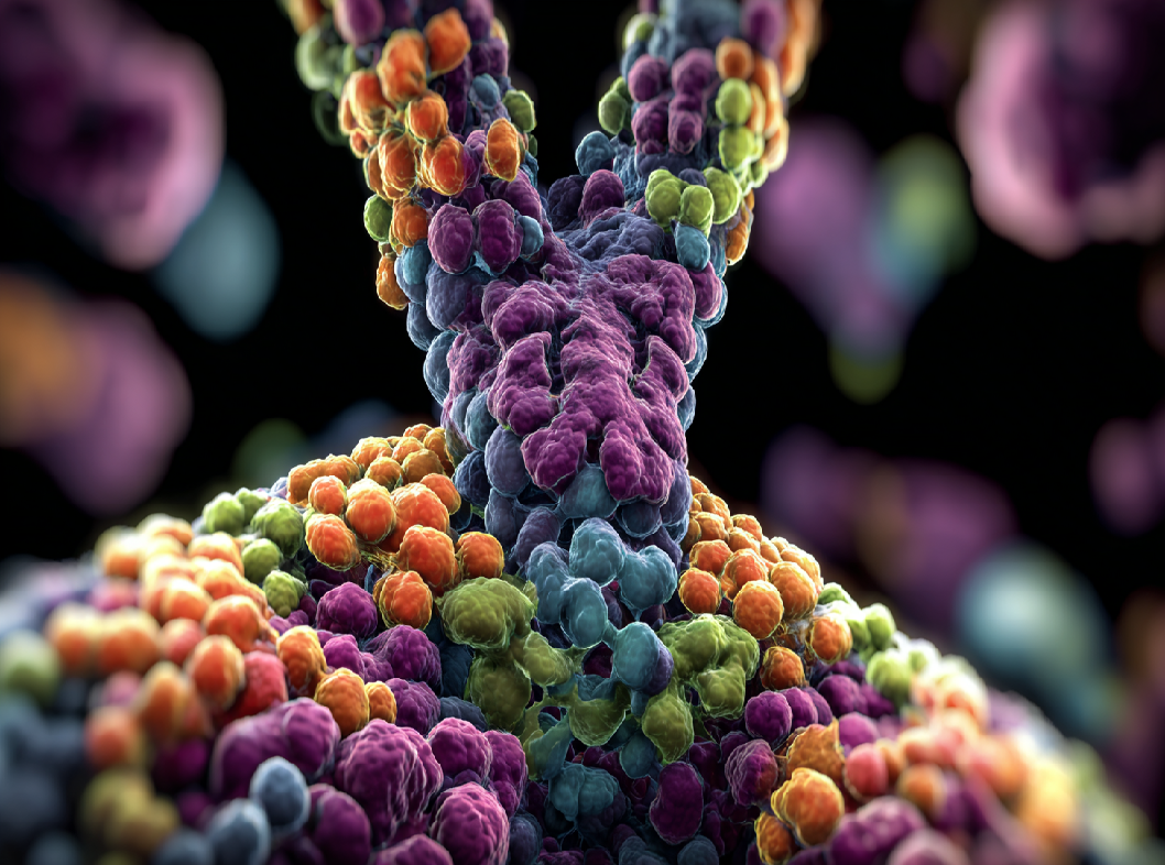 Тиреоглобулин