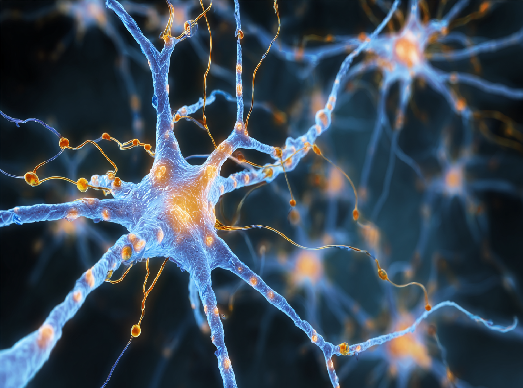 Полиневропатия