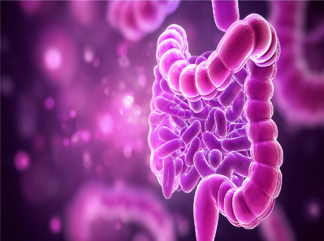 Тубулярная дисплазия толстой кишки